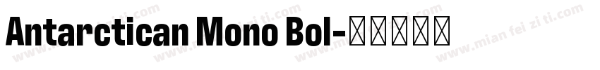 Antarctican Mono Bol字体转换
